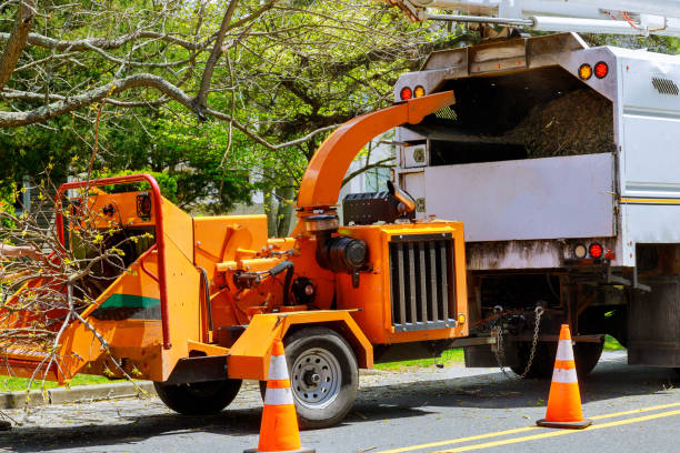 Bedminster, NJ Tree Care  Company